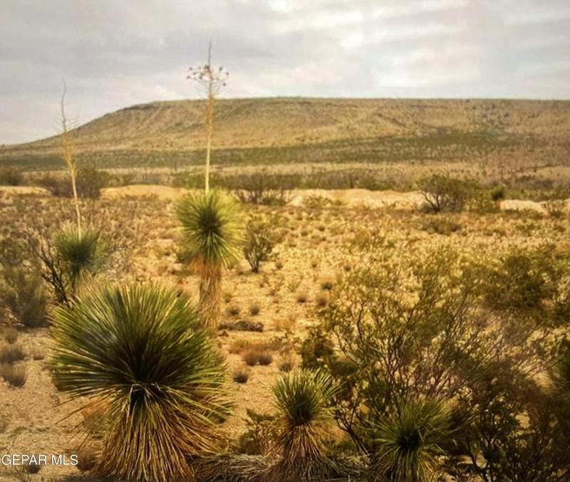 Tbd C/O SIERRA PRIETO, LTD, Sierra Blanca, TX 79851 for Sale