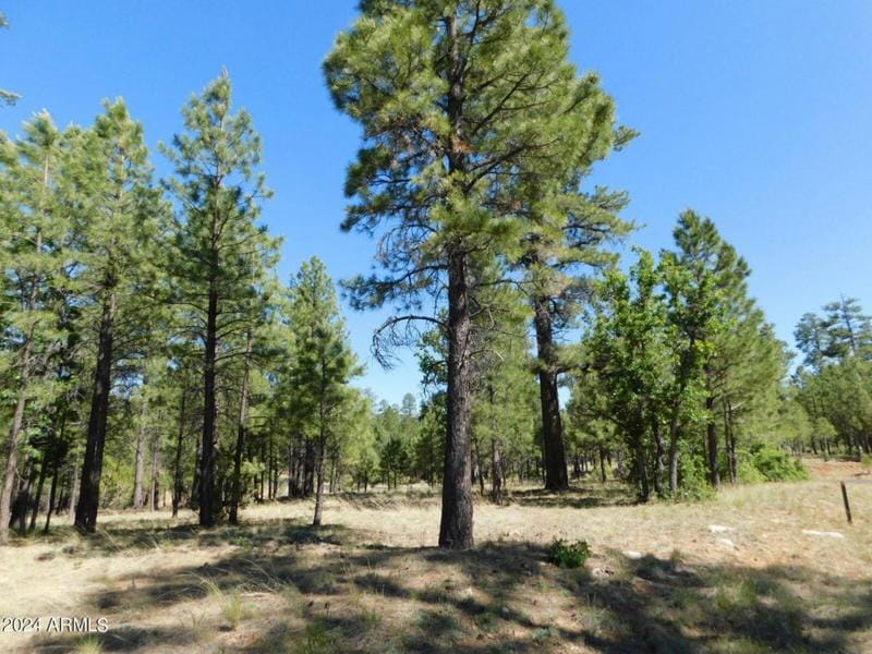 1841 BLUE SKY CIR # 189, Happy Jack, AZ 86024 Land For Sale  MLS# 6648241 for Rent