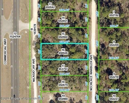 Weeki Wachee, Hernando County, FL Commercial Property, Homesites for sale Property ID: 418146463