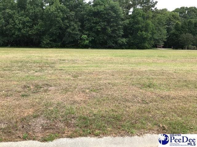 Florence, Darlington County, SC Undeveloped Land, Homesites for sale Property ID: 414569596