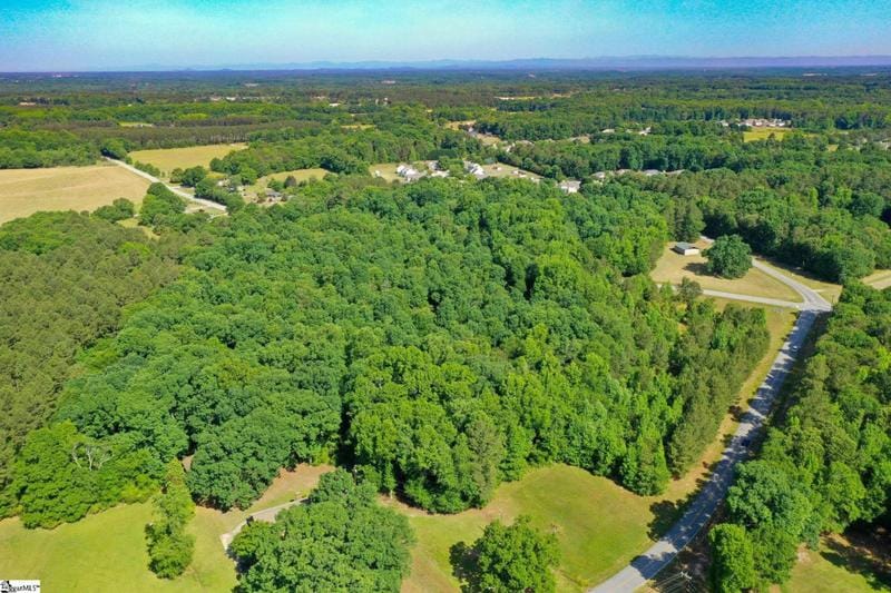 W GEORGIA ROAD, Pelzer, SC 29669 Land For Sale  MLS# 1472315