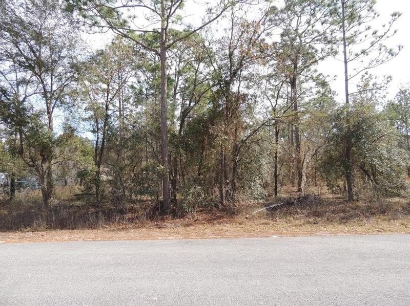 00 SE 126th Terrace, Dunnellon, FL 34431 - MLS OM660997 for Sale