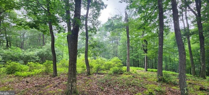 Normas Way #11, Mc Henry, MD 21541 - MLS MDGA2005346 for Sale