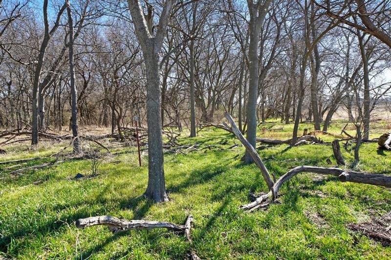 TBD Lot 10 County Road 102, Grandview, TX 76050 for Sale