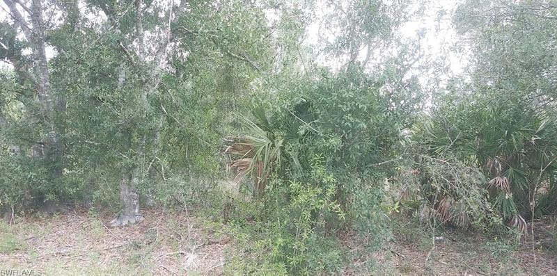27354 Treadmill Dr, Punta Gorda, FL 33955 - MLS 223061839 for Sale