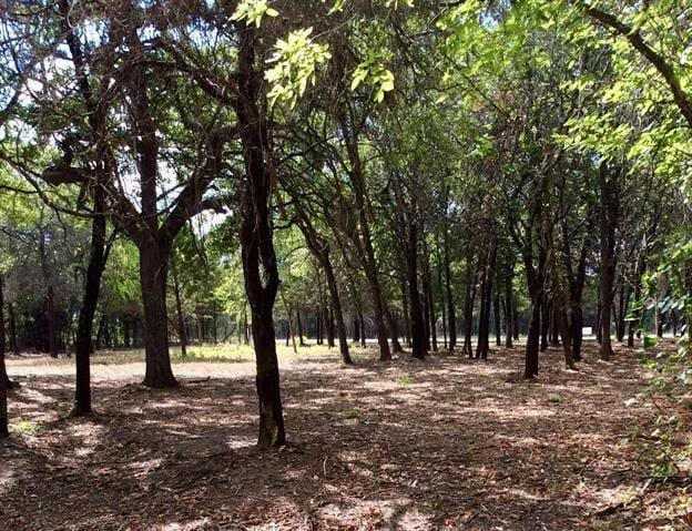 057 BLACKJACK PARKWAY, Nocona, TX 76255 Land For Sale  MLS# 20514676