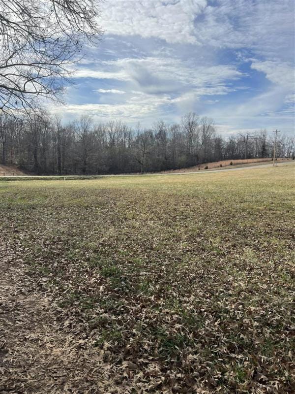 TRACT 2 MEADOR PORT OLIVER ROAD, Scottsville, KY 42164 Land For Sale  MLS# RA20235785