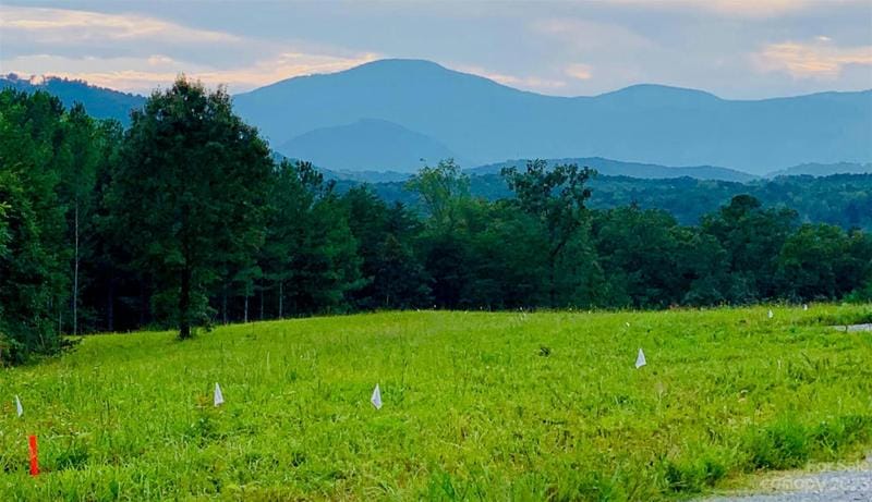 10.1 ACRES, Rutherfordton, NC 28139 Land For Sale  MLS# 4073430