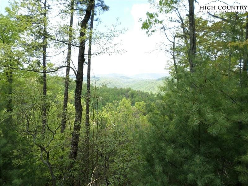 55, Ferguson, NC 28624 Land For Sale  MLS# 245805