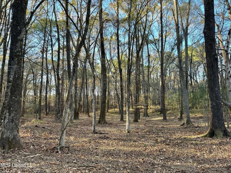 Springwood Trail, Flora, MS 39071  615177141 for Sale