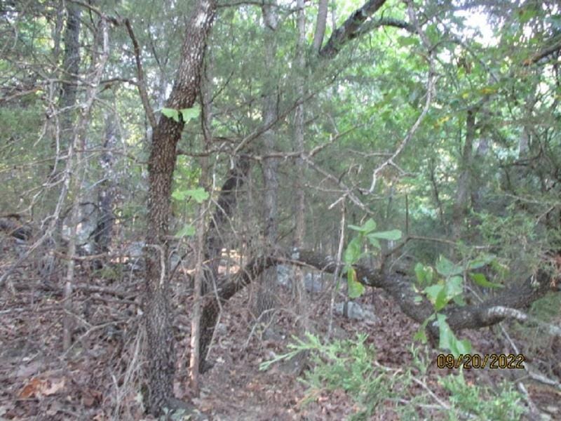 LOT 30 BLOCK 3 MAPLE DRIVE, Garfield, AR 72732 Land For Sale  MLS# 1228893