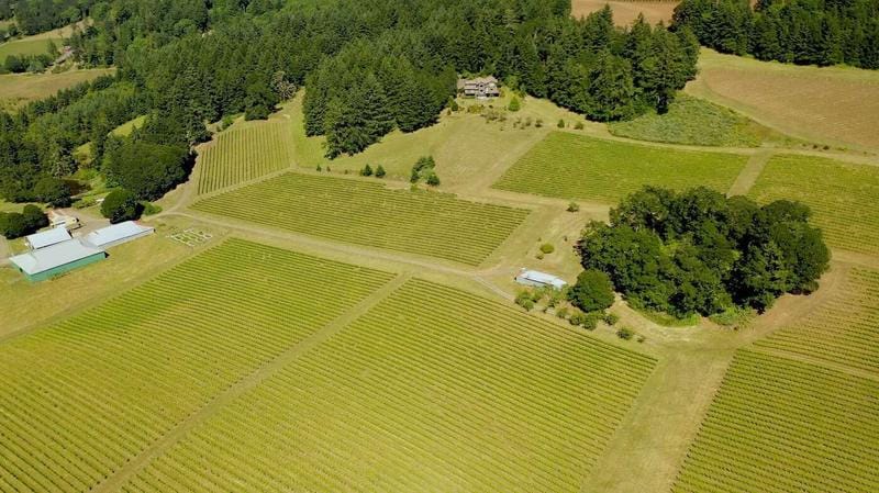 7820 SE Amity Road, Amity, OR 97101  613284827 for Sale