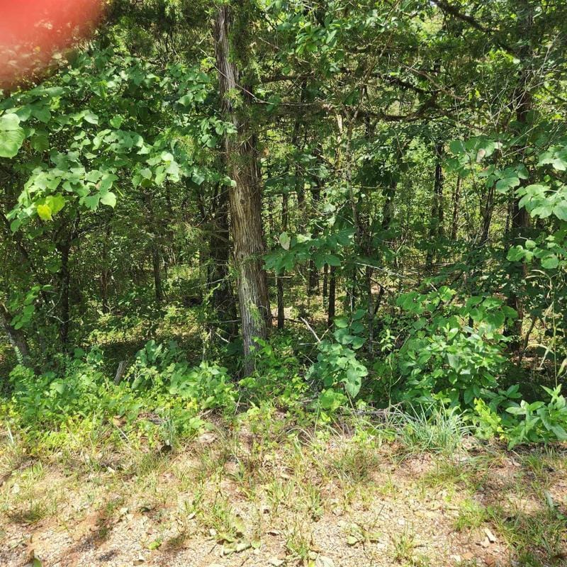 Cherokee Village, Sharp County, AR Undeveloped Land, Homesites for sale Property ID: 416915919