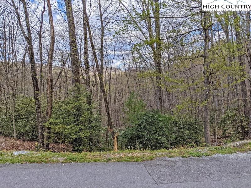 Tbd Powder Horn Mountain Rd, Deep Gap, NC 28618 - MLS 243402 for Sale