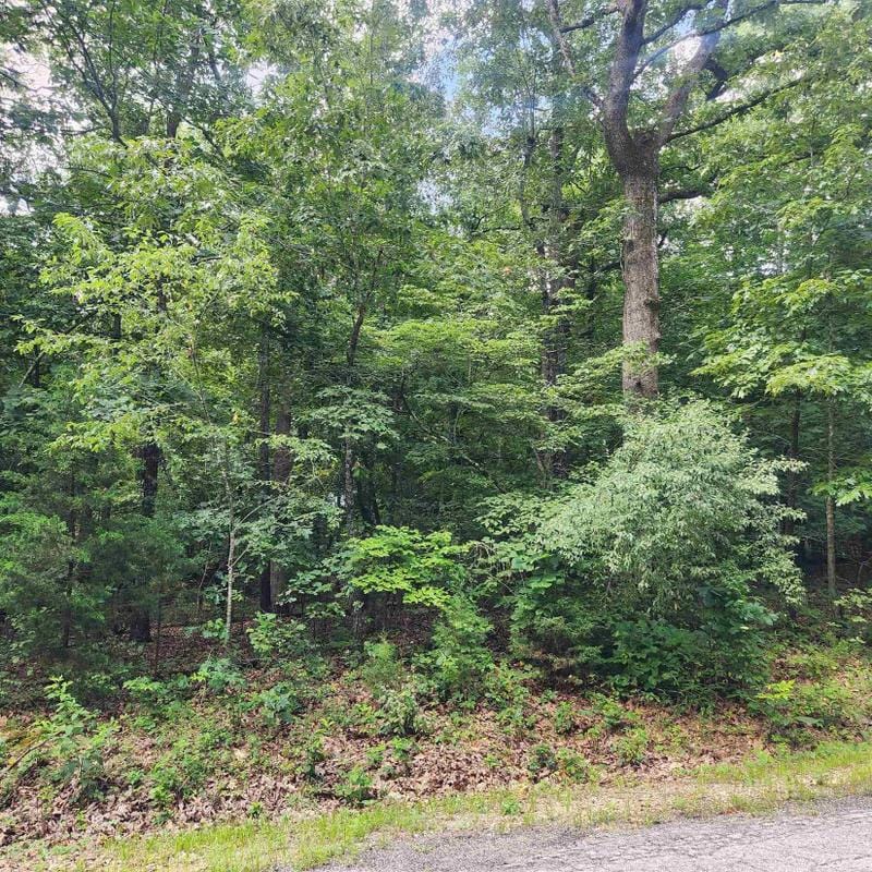 Cherokee Village, Sharp County, AR Undeveloped Land, Homesites for sale Property ID: 416915918