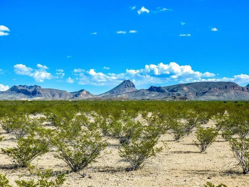 19898 Este Rd, Terlingua, TX 79852 for Sale