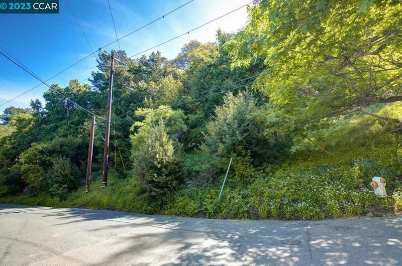 15 Alta Vista Dr, Orinda, CA 94563 - MLS 41026069 for Sale