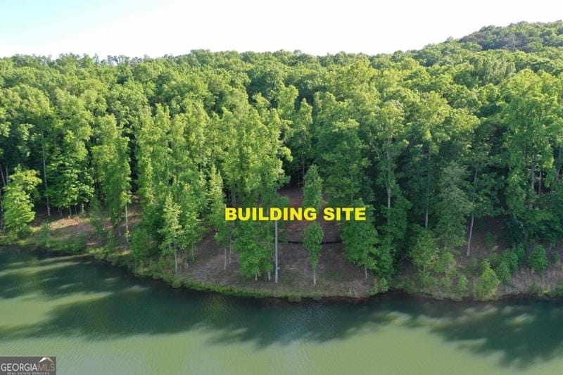 Cleveland, White County, GA Undeveloped Land, Lakefront Property, Waterfront Property, Homesites for sale Property ID: 417624123