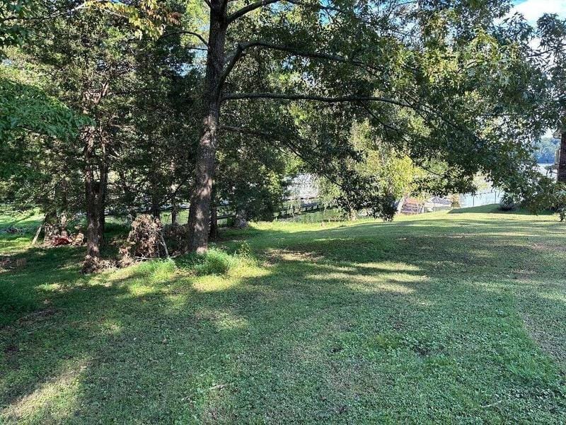 00 Barnett Rd, Rogersville, AL 35652  603139276 for Sale