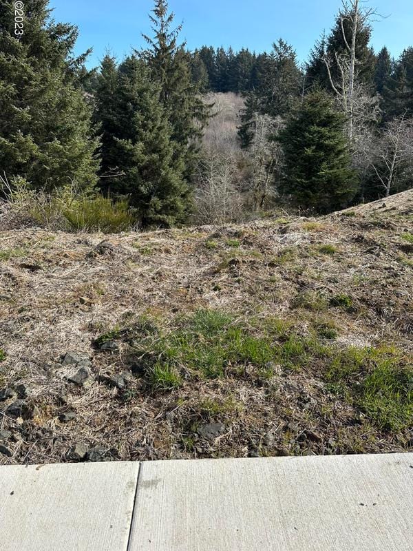 Lot 134 NE 55th Place, Lincoln City OR 97367 for Sale
