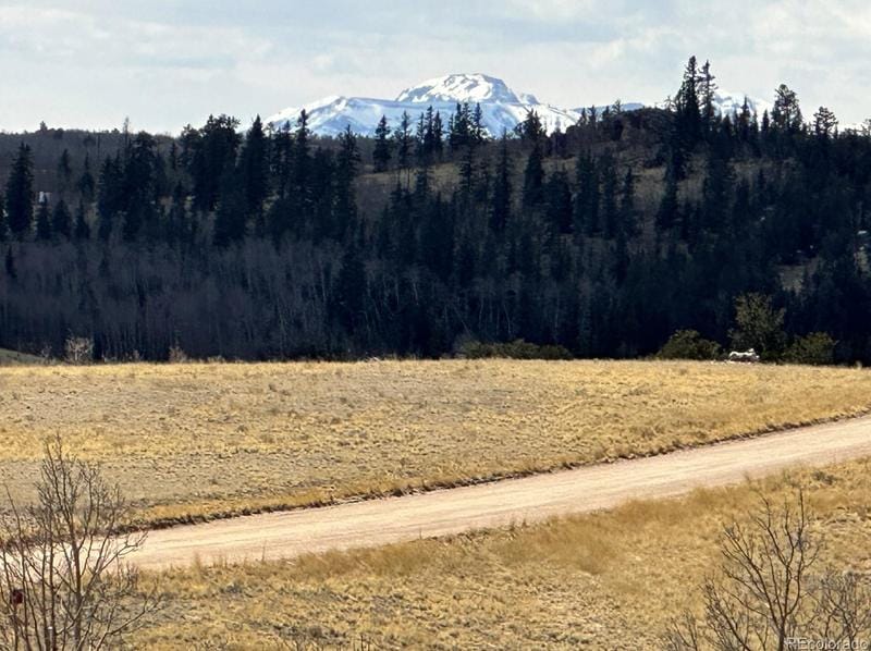 499 Kiowa St, Como, CO 80432 - MLS 6098250 for Sale