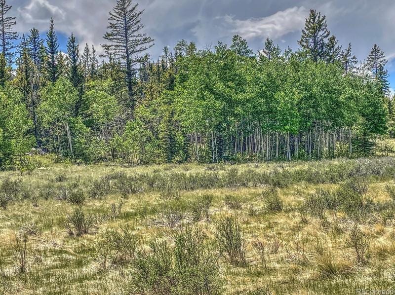 346 Mustang Trail, Como, CO 80432 - MLS 1700029 for Sale
