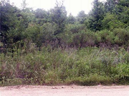 000 County Road 2926, Cleveland, TX 77327 for Sale