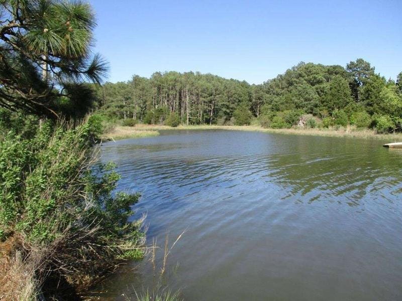 1 NORTHSIDE RD, ONANbird, VA 23417  620625578 for Sale