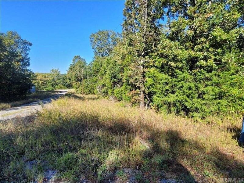 1201 Pavillion Lane, Horseshoe Bend, AR 72512  606096768 for Sale
