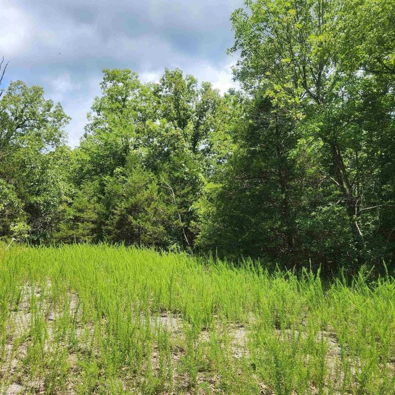 Cherokee Village, Sharp County, AR Undeveloped Land, Homesites for sale Property ID: 416915913