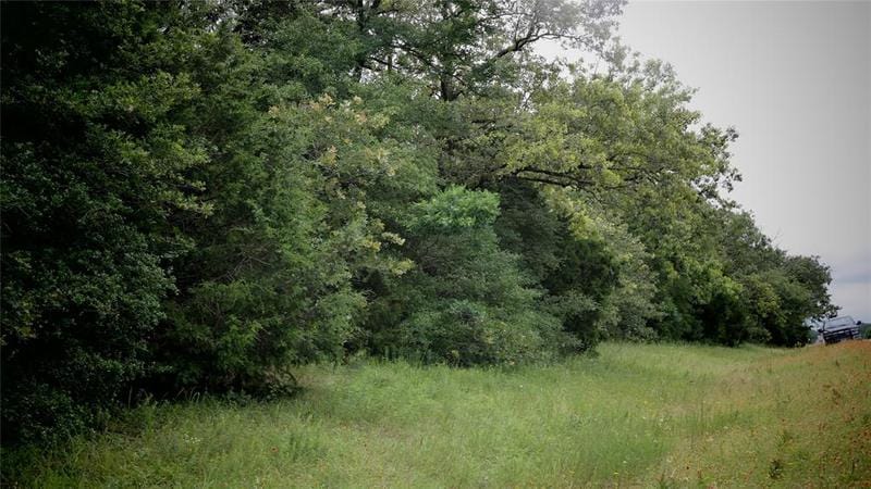TBD HWY 164, Donie, TX 75838 for Sale