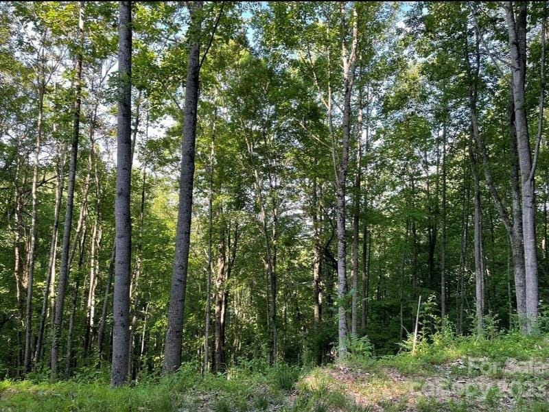 Hendersonville, Henderson County, NC Undeveloped Land, Homesites for sale Property ID: 417062956
