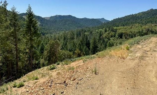 3042 Coyote Creek Rd, Wolf Creek, OR 97497 - MLS 220171729 for Sale