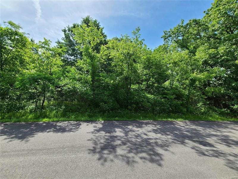 10312 TURKEY TRAIL DR, Hillsboro, MO 63050 Land For Sale  MLS# 23043197
