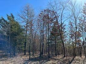 Friendship, Adams County, WI Undeveloped Land for sale Property ID: 416195131
