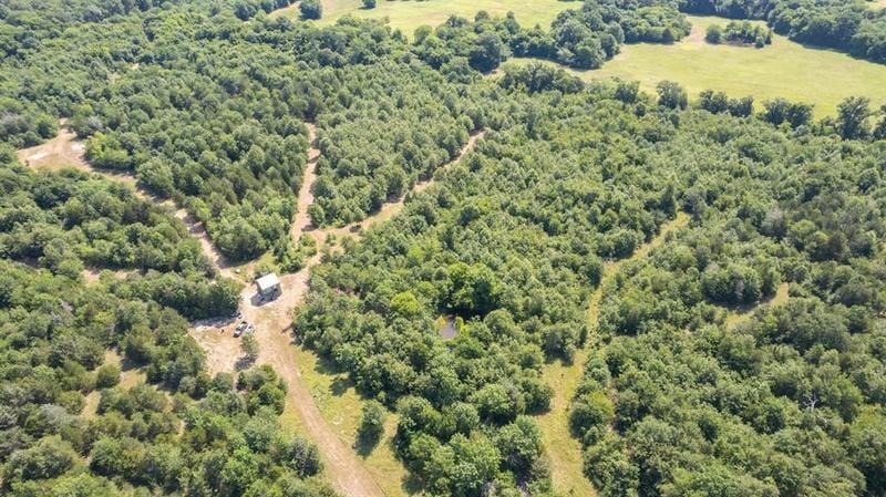 0 County Road 3567, DIKE, TX 75437 for Sale