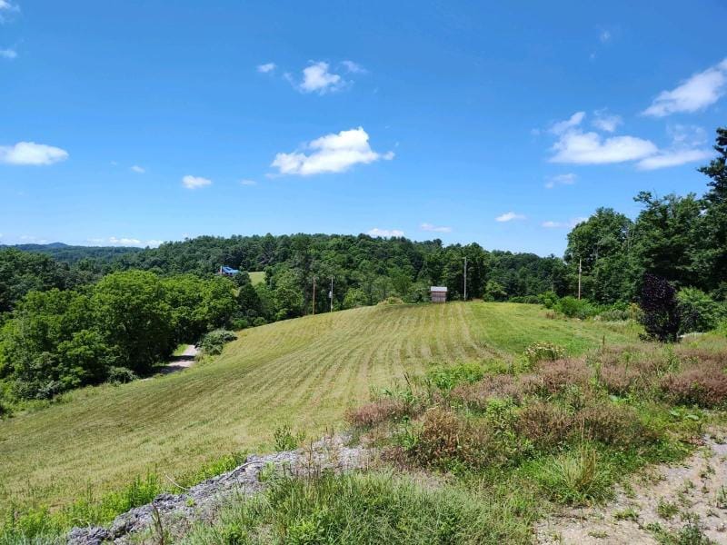 Floyd, Floyd County, VA Undeveloped Land for sale Property ID: 416950340