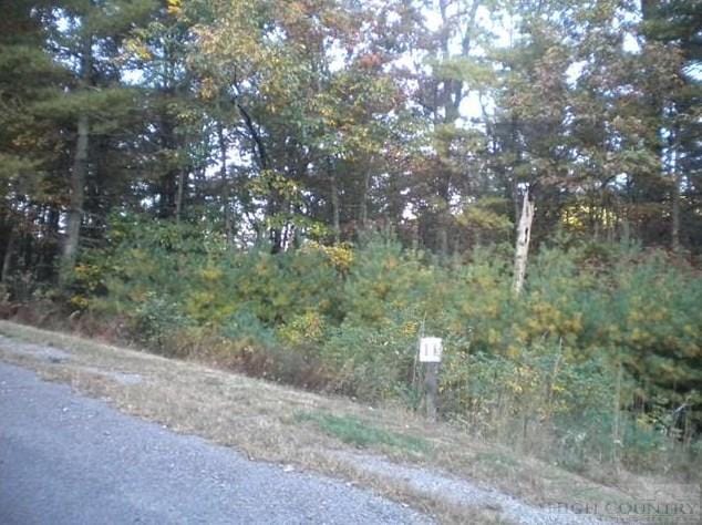 Lot 11 Pine Chase, Glade Valley, NC 28627 - MLS 39205189 for Sale
