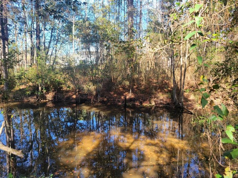 Lot Jones Dr, Freeport, FL 32439 - MLS 933206 for Sale