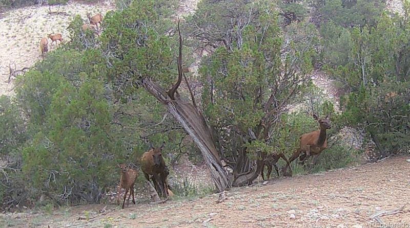 Lots 1-2 Colo Land & Grazing, Gardner, CO 81040 - MLS 4886957 for Sale