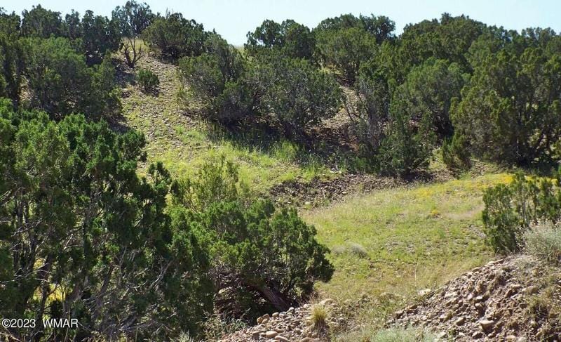 2 CR 5035, Concho, AZ 85924  613333349 for Sale