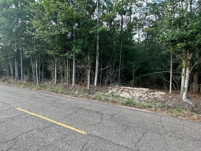 Bush, Saint Tammany Parish, LA Undeveloped Land, Homesites for sale Property ID: 417581008