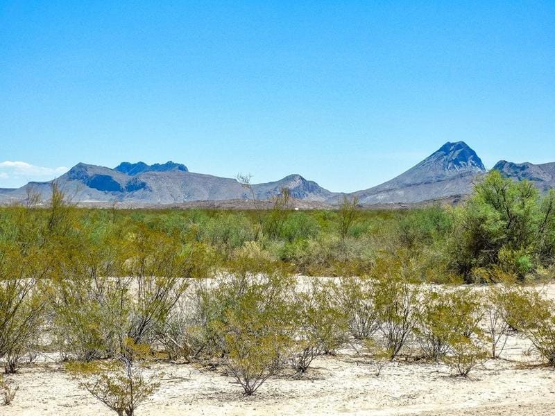 2100 Romero Rd, Terlingua, TX 79830 for Sale