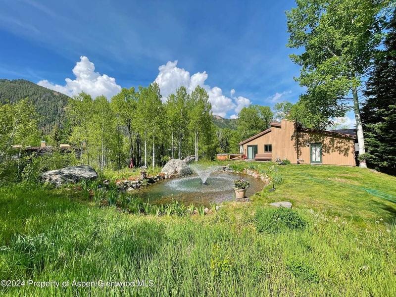 981 King Street, Aspen, CO 81611  619048331 for Sale