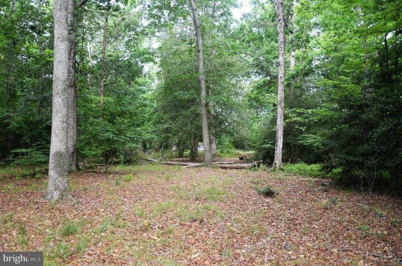 Waldorf, Prince Georges County, MD Undeveloped Land, Homesites for sale Property ID: 416307396