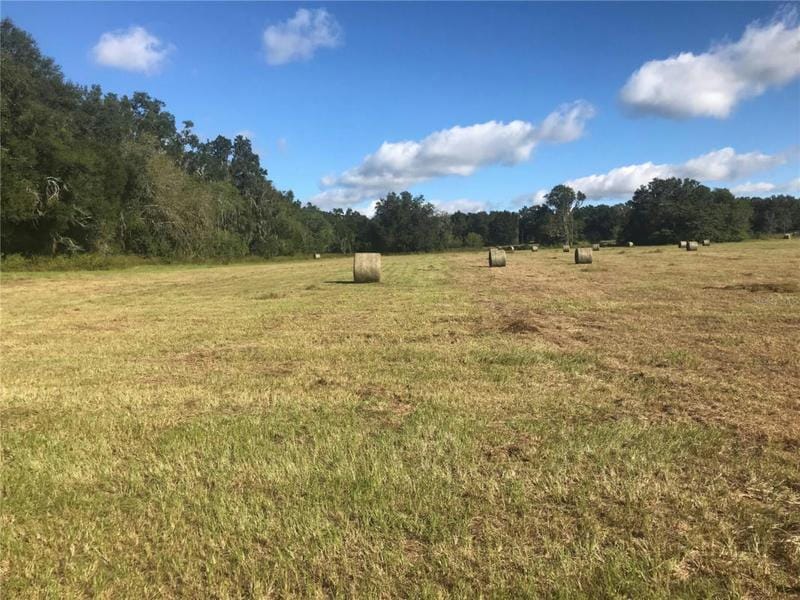 TBD NW 133RD LN, REDpart, FL 32686 Land For Sale  MLS# OM666463