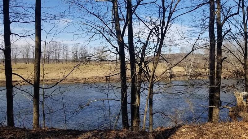 Greene, Chenango County, NY Undeveloped Land, Lakefront Property, Waterfront Property, Homesites for sale Property ID: 416020404