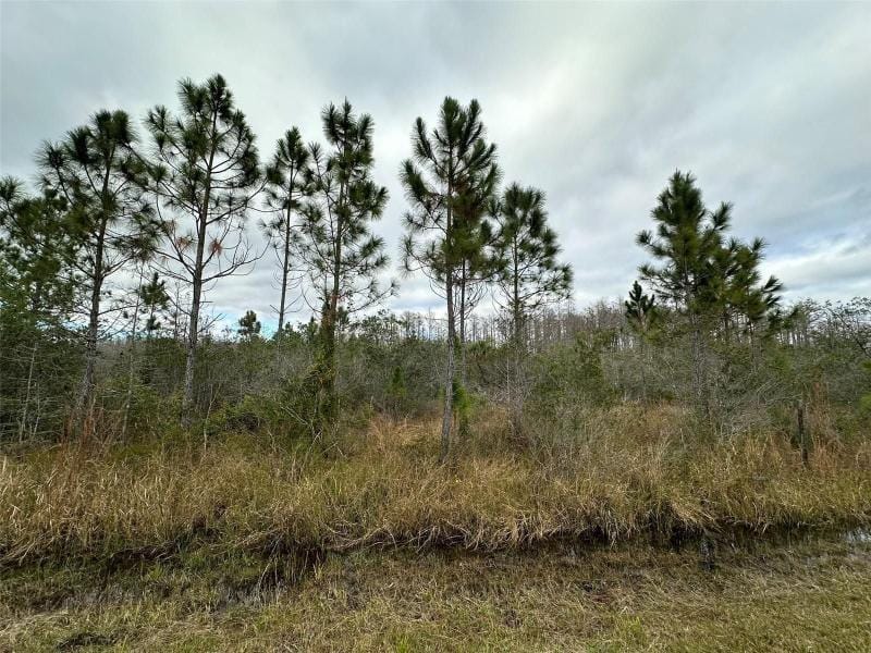 Saint Cloud, Osceola County, FL Undeveloped Land, Homesites for sale Property ID: 418617701