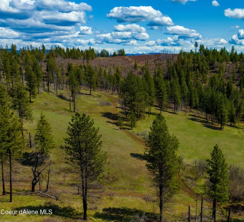 NKA 20ACS HIDDEN VALLEY LN, Weippe, ID 83553 Land For Sale  MLS# 22-4478