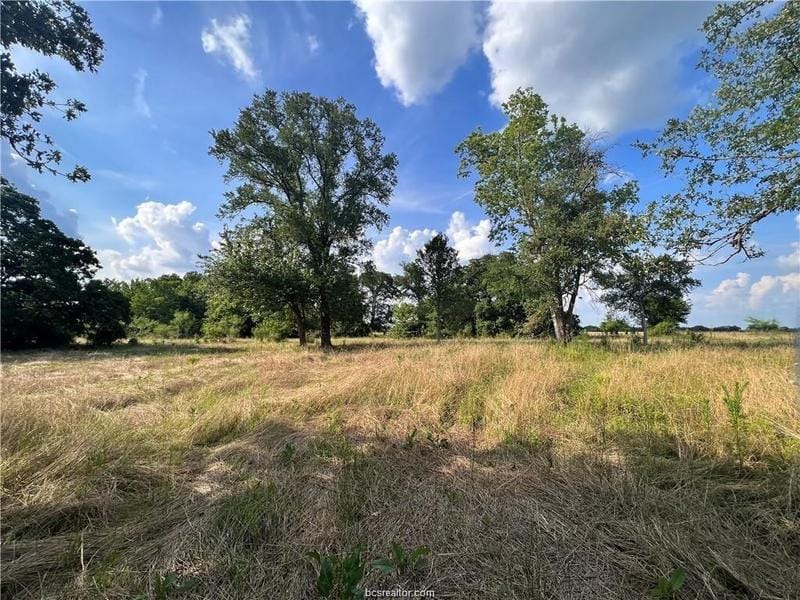 10383 Whiskey River Road, Bryan, TX 77808 for Sale